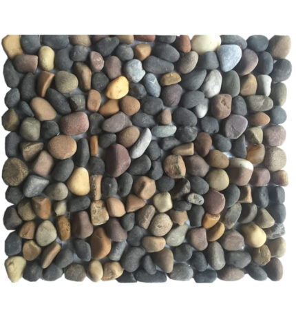 mosaic (SCIPL1)